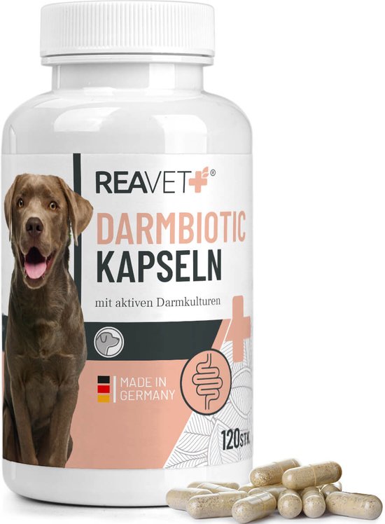 ReaVET