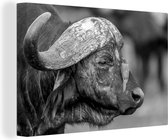 Peinture sur toile Piqueboeuf à bec rouge sur un buffle - noir et blanc - 150x100 cm - Décoration murale
