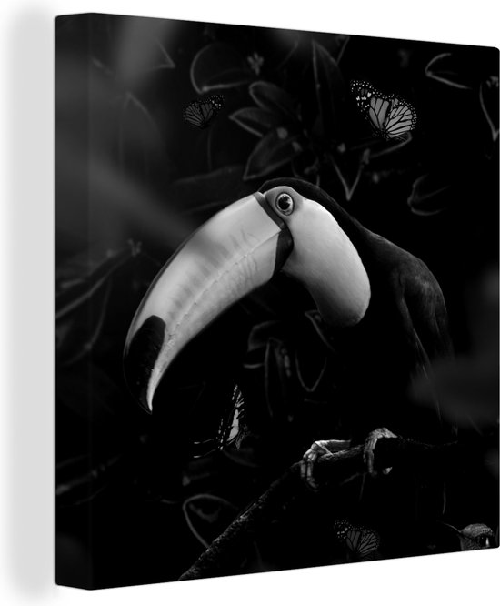 Canvas Schilderij Close-up van een toekan omringd met vlinders - zwart wit - 50x50 cm - Wanddecoratie
