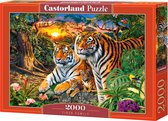 Castorland Tiger Family - 2000pcs