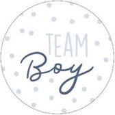 Team Boy - Gender reveal - Babyshower - Gender reveal stickers - sluitstickers - stickers - traktatie