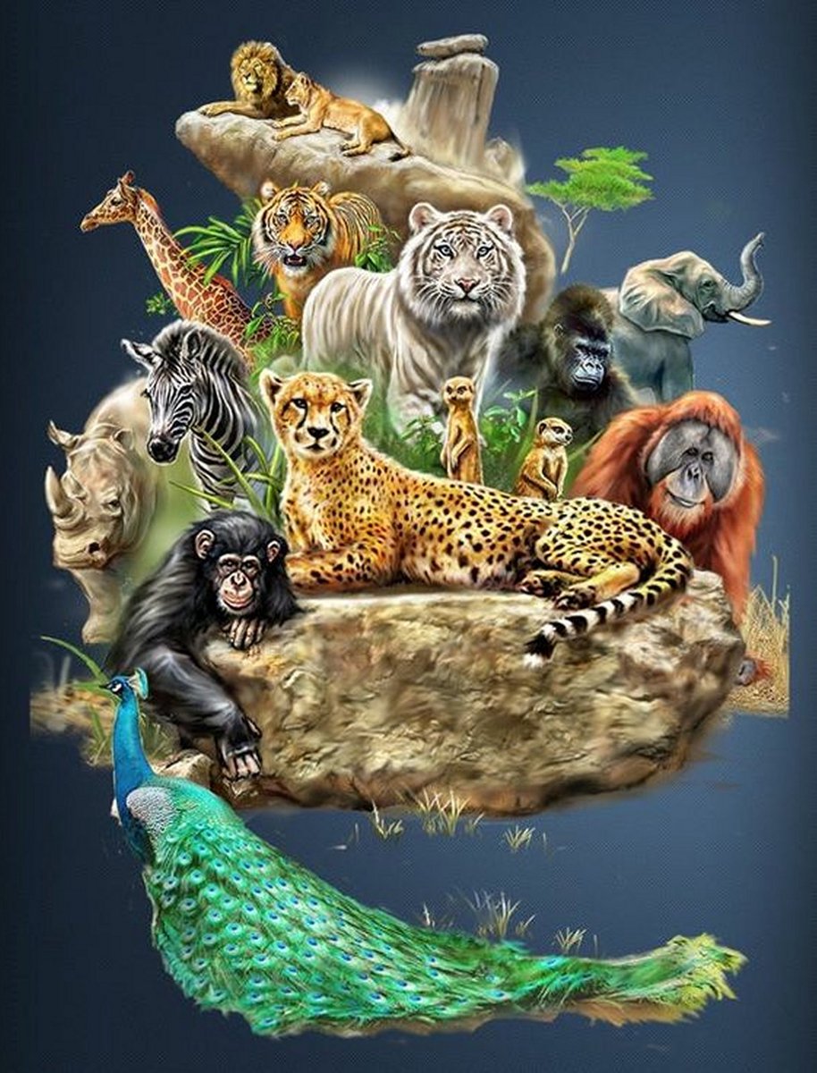 VDTOYS® DIAMOND PAINTING volwassenen - VDT021 -vierkante steentjes - full - groot formaat - nieuwe tekeningen - 45 op 55 cm (canvas) - 40 op 50 (foto)