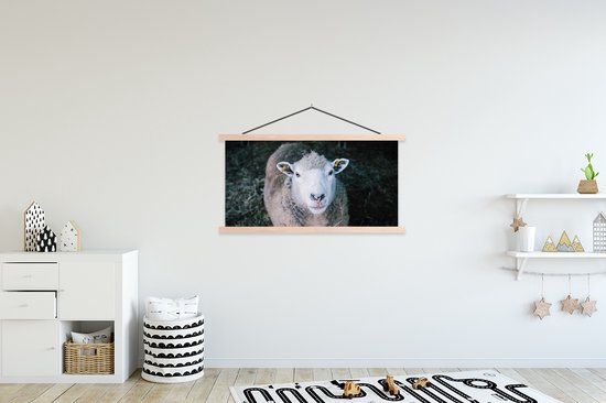 Porte-affiche avec affiche - Affiche scolaire - Moutons - Animaux - Bovins - 120x60 cm - Lattes vierges