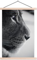 Affiche profil animal lion en noir et blanc lattes d'affiche textielposter vierge 60x90 cm - Tirage photo sur plaque scolaire (décoration murale salon / chambre)