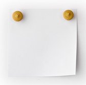 magneten Eekhoorn met 8 eikels magneet koelkast whiteboard