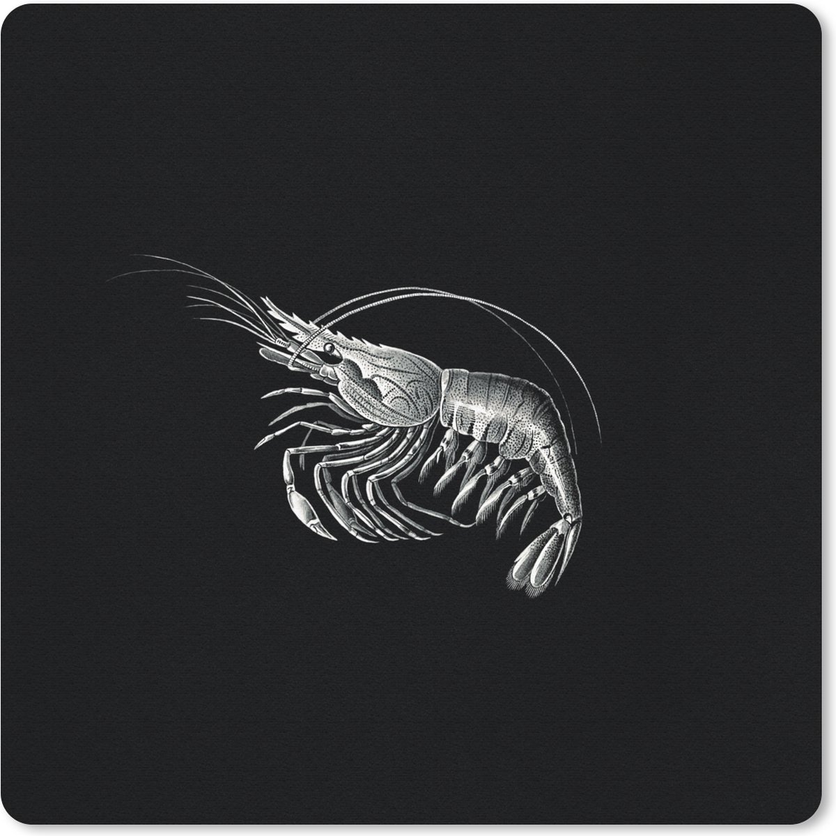 Muismat 30x30 cm - Mousepad Garnalen - Vintage - Ernst Haeckel - Dieren - Kunst - Muismatten