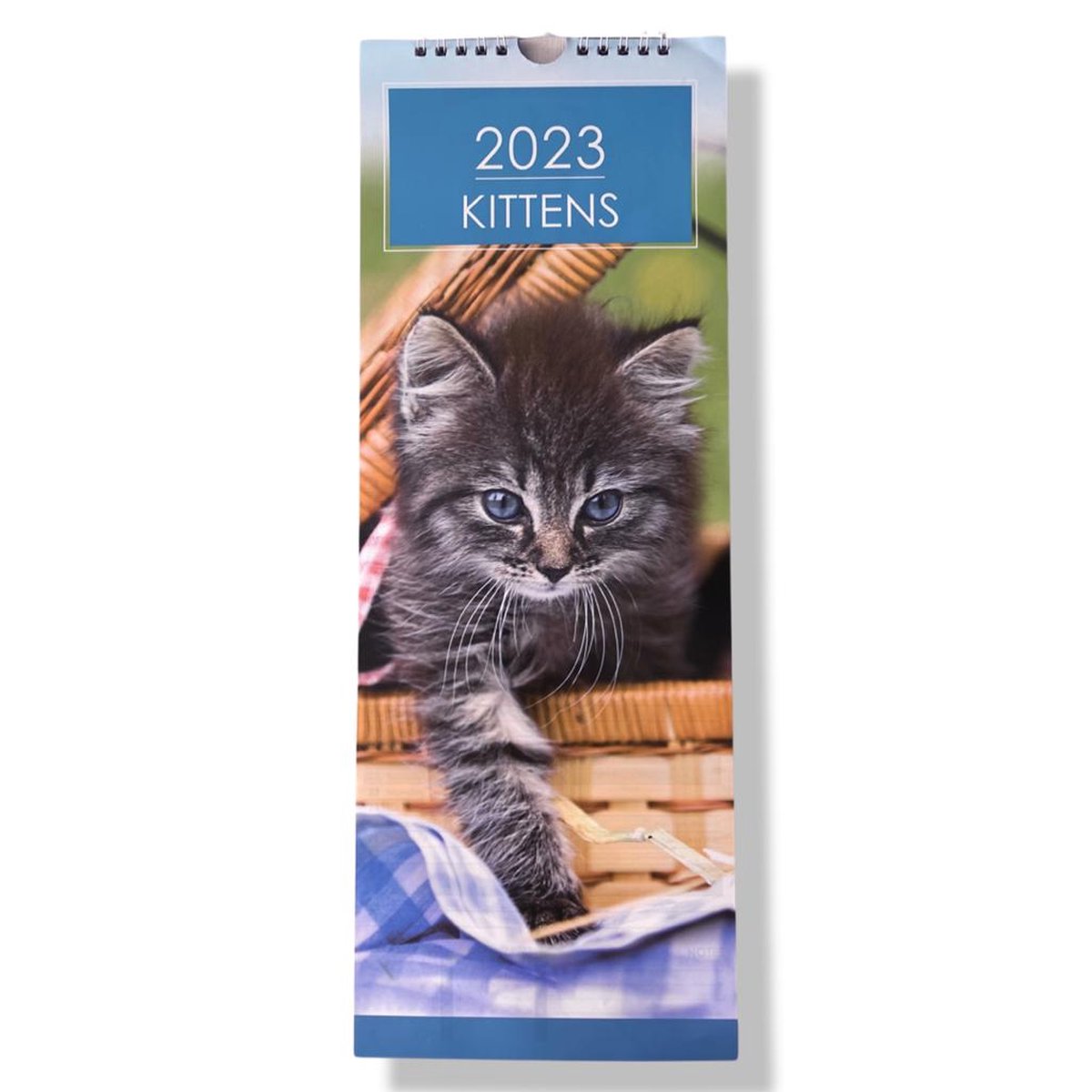 Kittens kalender - 2023 - Maandkalender - 15.5x42cm