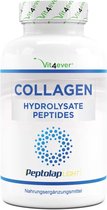Vit4ever - Collageen - 240 capsules - 1500 mg per dagelijkse portie - Premium: 100% rundercollageenhydrolysaatpeptiden van Peptolap Light - Hoge dosis