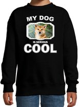 Shiba inu honden trui / sweater my dog is serious cool zwart - kinderen - Shiba inu liefhebber cadeau sweaters - kinderkleding / kleding 170/176