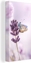 Canvas schilderij - Lavendel - Vlinder - Bloemen - Botanisch - Schilderijen op canvas - Canvas bloemen - Foto op canvas - 40x80 cm - Muurdecoratie