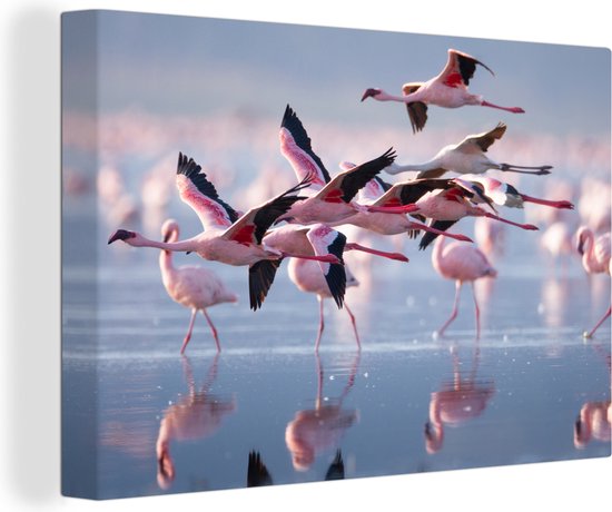 Canvas - Schilderij - Flamingo - Zee - Water - Vogel - Tropical - Schilderij op canvas - Woonkamer - 60x40 cm - Canvas doek - Wanddecoratie