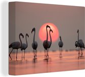 Canvas schilderij - Flamingo - Zon - Roze - Vogel - Tropisch - Foto op canvas - 80x60 cm - Canvas doek - Wanddecoratie