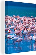 OneMillionCanvasses - Canvas schilderij - Flamingo - Water - Tropisch - Roze - Vogel - Schilderijen op canvas - Foto op canvas - 120x160 cm - Muurdecoratie