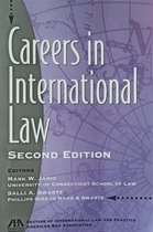 Careers In International Law