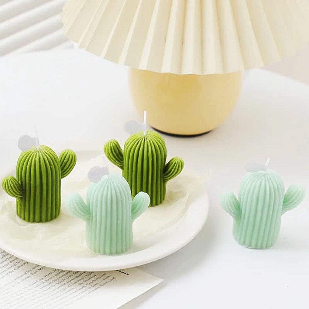Cactus Mal - S