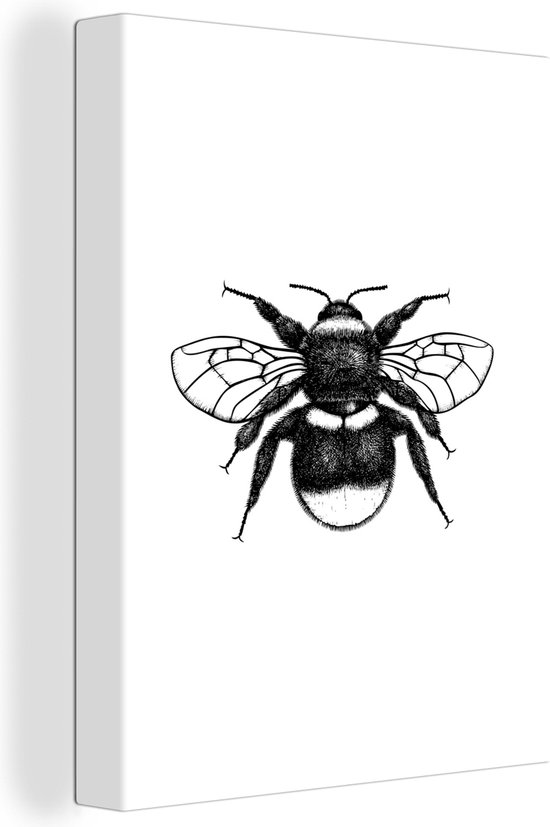 Getekend Insect Canvas Schilderij Hommel - Botanisch - Retro - Insecten - 90x120 cm ...