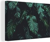 Canvas Schilderij Jungle - Palmboom - Bladeren - Tropisch - 60x40 cm - Wanddecoratie