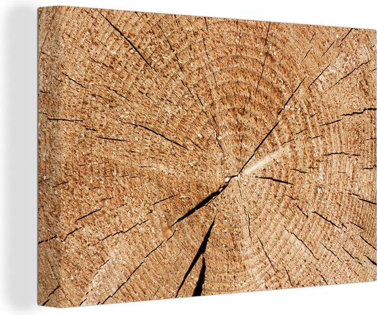 Tableau sur Toile Tronc d'Arbre - Cernes Annuels - Bois - 120x80 cm - Décoration murale