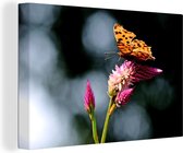 Canvas Schilderij Vlinder - Bloemen - Insecten - 30x20 cm - Wanddecoratie