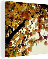 Canvas Schilderij Bomen - Herfstbladeren - Natuur - 50x50 cm - Wanddecoratie
