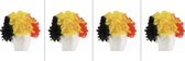 Perruque tricolore belge - lot de 4 pièces