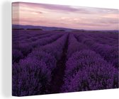Canvas Schilderij Lavendel - Paars - Bloemen - Natuur - 60x40 cm - Wanddecoratie