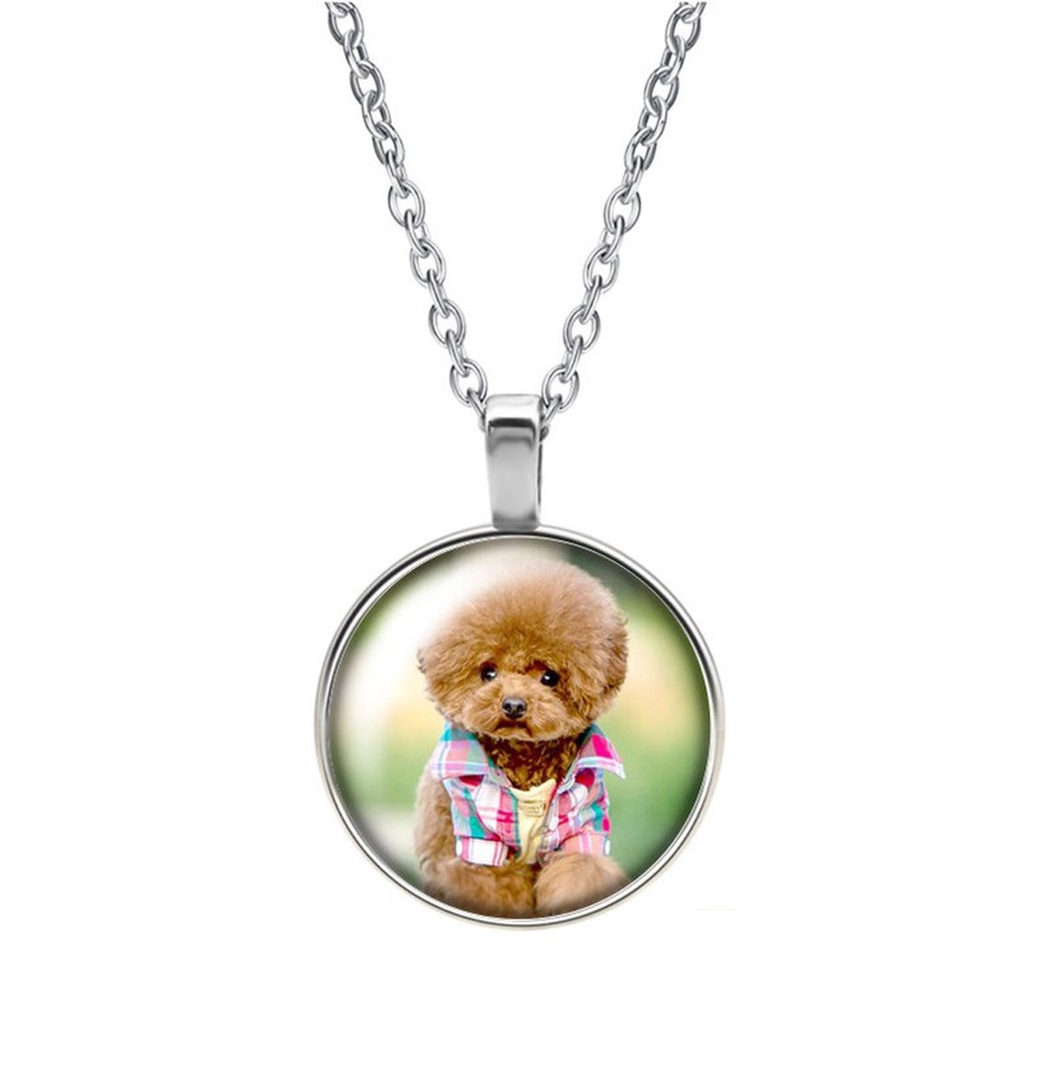 Ketting Glas - Hond