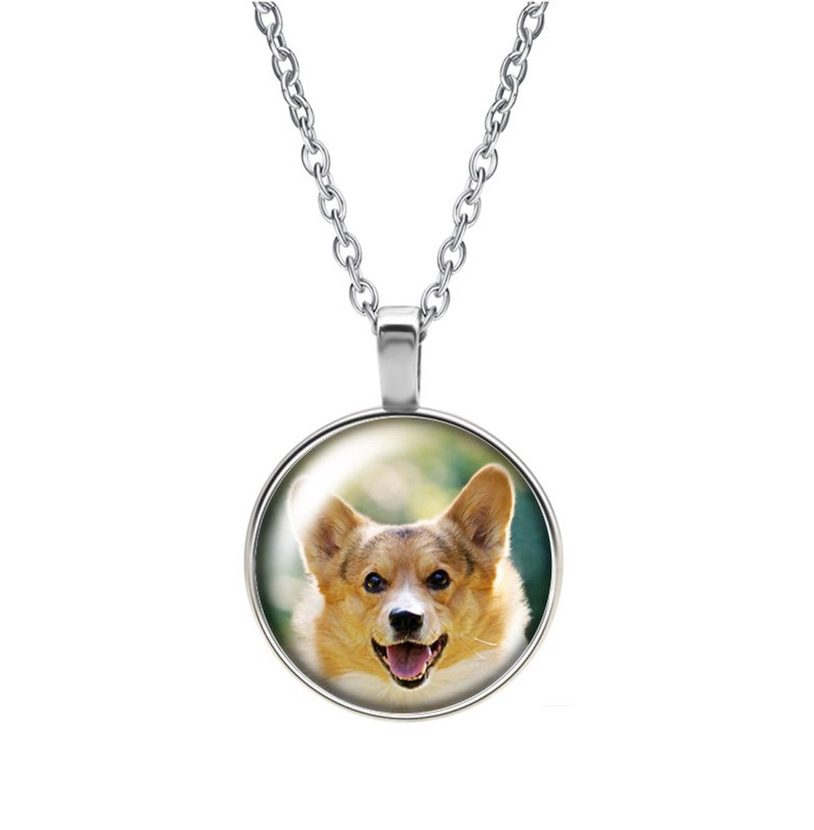 Ketting Glas - Hond