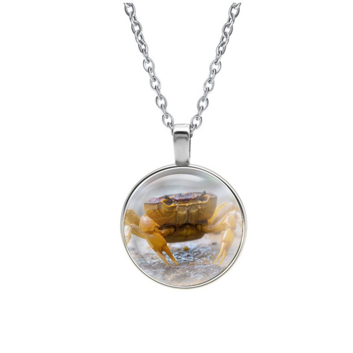 Ketting Glas - Krab
