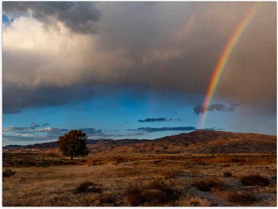 WallClassics - Poster (Mat) - Einde van de Regenboog in het Veld