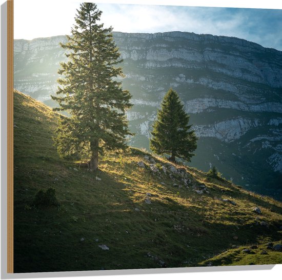 WallClassics - Hout - Twee Boompjes op een Berg - 80x80 cm - 12 mm dik - Foto op Hout (Met Ophangsysteem)