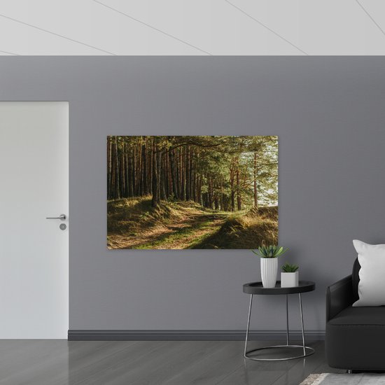 WallClassics - Poster (Matte) - Beautiful Sunlight in the Forest - 150x100 cm Photo sur Papier Poster avec un aspect Mat