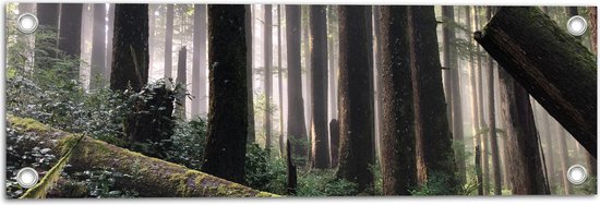 WallClassics - Tuinposter – Bos met Omgevallen Bomen - 60x20 cm Foto op Tuinposter  (wanddecoratie voor buiten en binnen)