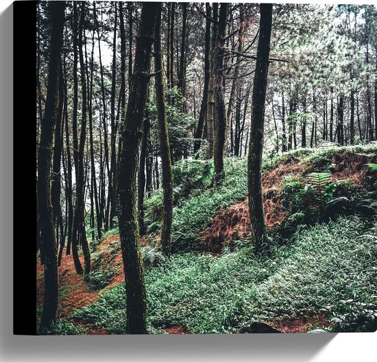 WallClassics - Canvas - Heuvel in het Bos - Foto op Canvas Schilderij (Wanddecoratie op Canvas)