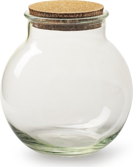 Set de 2x vase terrarium transparent / vases en verre 20 x 20 cm avec  bouchon /... | bol.com