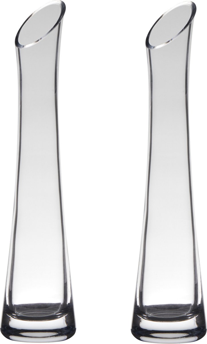 Hakbijl Glass vaas - Set van 2x stuks - 25 x 6 cm - flute model - transparant - bloemenvaas