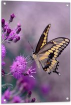 WallClassics - Tuinposter – Vlinder op Paarse Bloem - 60x80 cm Foto op Tuinposter  (wanddecoratie voor buiten en binnen)