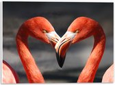 WallClassics - PVC Schuimplaat - Verliefde Flamingo's  - 40x30 cm Foto op PVC Schuimplaat (Met Ophangsysteem)