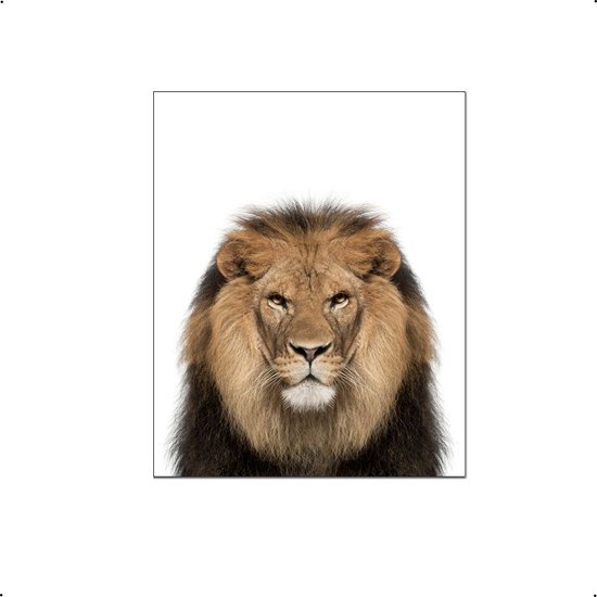 PosterDump - Safari dieren leeuw - Baby / kinderkamer poster - Dieren poster - 40x30cm