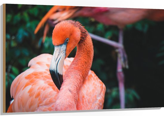 WallClassics - Hout - Mooie Roze Flamingo - 120x80 cm - 12 mm dik - Foto op Hout (Met Ophangsysteem)
