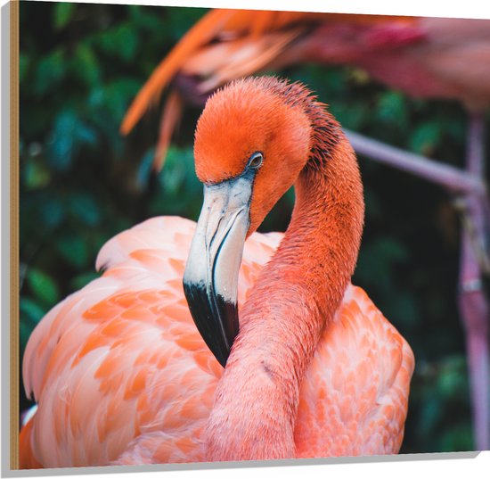 WallClassics - Hout - Mooie Roze Flamingo - 100x100 cm - 12 mm dik - Foto op Hout (Met Ophangsysteem)