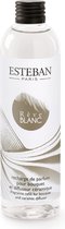 Bol.com Esteban Classic Rêve Blanc Navulling geurstokjes 250ml aanbieding