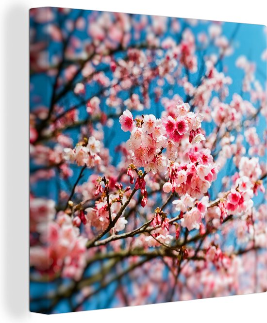 Canvas Schilderij Lente - Sakura - Roze - 20x20 cm - Wanddecoratie
