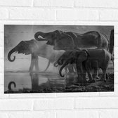 WallClassics - Muursticker - Olifanten aan een Meer Zwart / Wit - 60x40 cm Foto op Muursticker