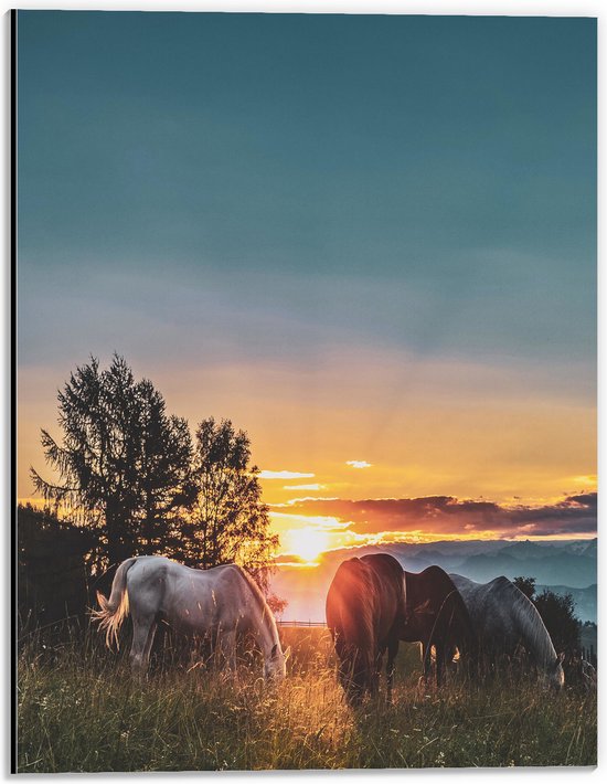 WallClassics - Dibond - Grazende Paarden bij Zonsondergang - 30x40 cm Foto op Aluminium (Met Ophangsysteem)