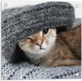 WallClassics - Tuinposter – Kitten met een Wollen Muts - 50x50 cm Foto op Tuinposter  (wanddecoratie voor buiten en binnen)