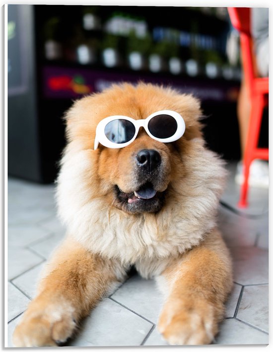 WallClassics - PVC Schuimplaat- Coole Hond met Zonnebril - 30x40 cm Foto op PVC Schuimplaat