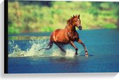 WallClassics - Canvas  - Bruin Paard Rent door het Water - 60x40 cm Foto op Canvas Schilderij (Wanddecoratie op Canvas)