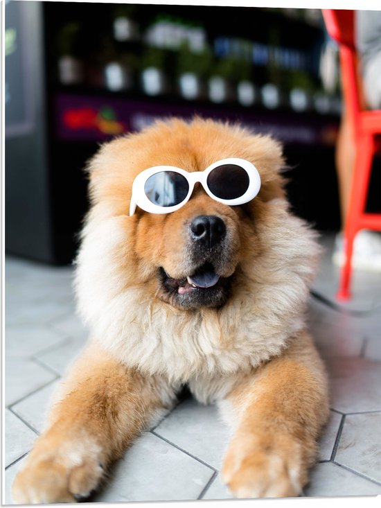 WallClassics - PVC Schuimplaat- Coole Hond met Zonnebril - 60x80 cm Foto op PVC Schuimplaat