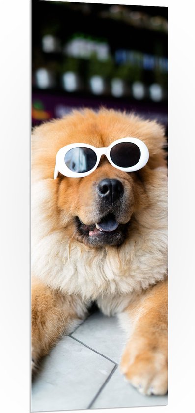 WallClassics - PVC Schuimplaat- Coole Hond met Zonnebril - 50x150 cm Foto op PVC Schuimplaat